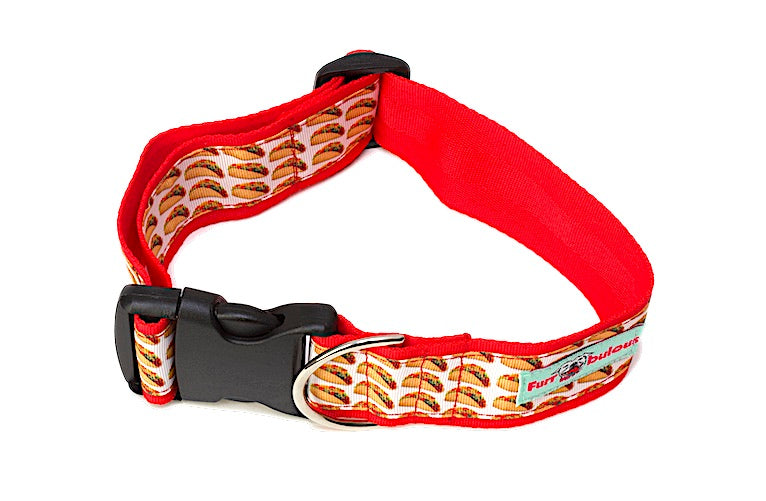 Sport Collar 2"