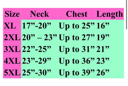 United Colors of Pupnetton Hoodie