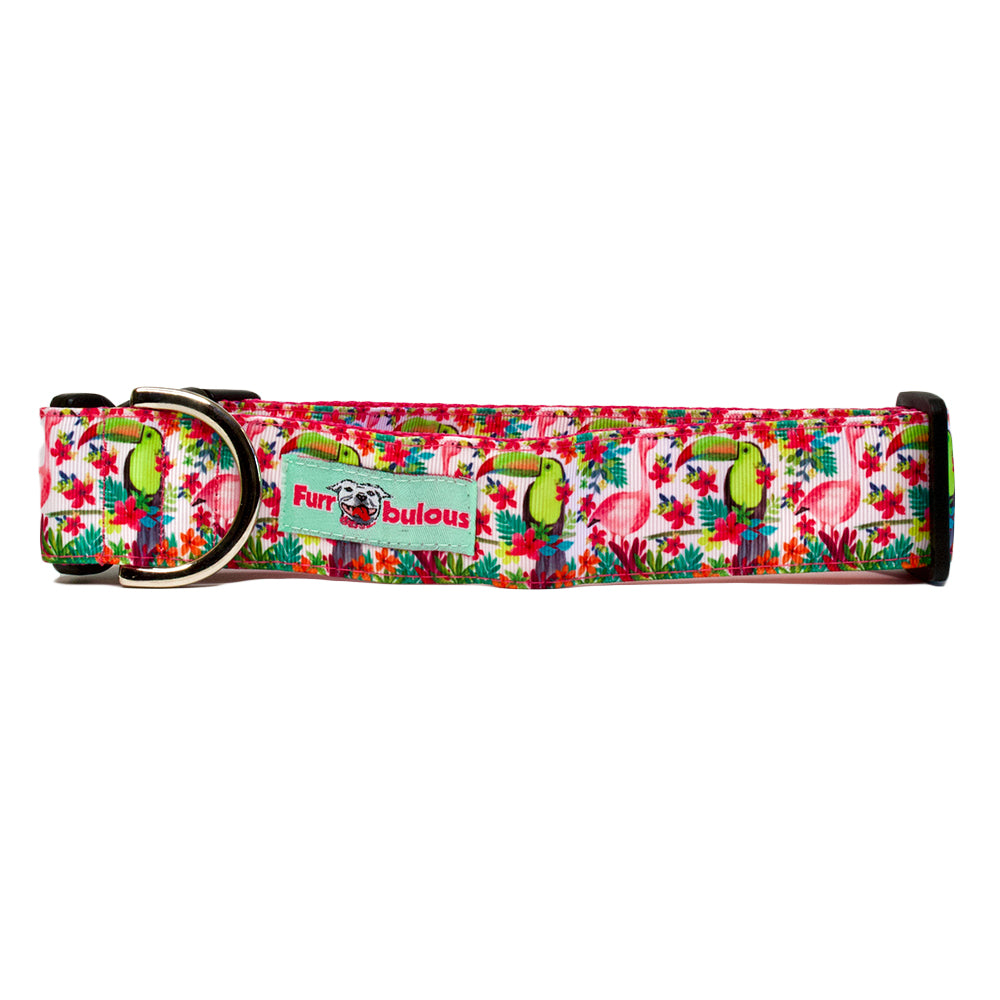 Tucan & Flamingo Sport Collar 1.5"