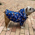 cookie monster dog raincoat rain jacket waterproof hoodie