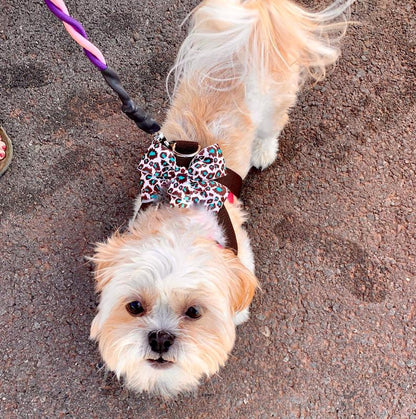 Harness with Bowtie for small dogs