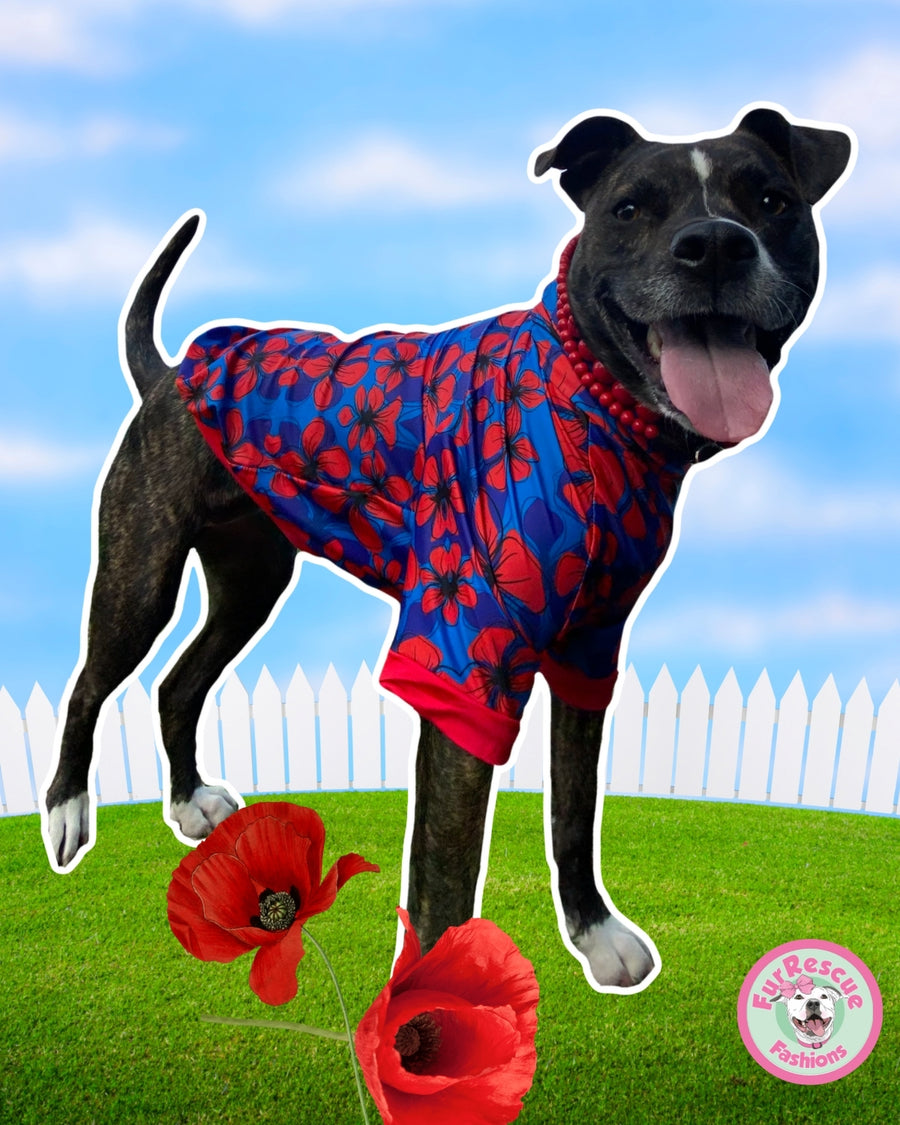 Memorial Day Poppies - PAWjama with Red Neck & Trim/Sleeves