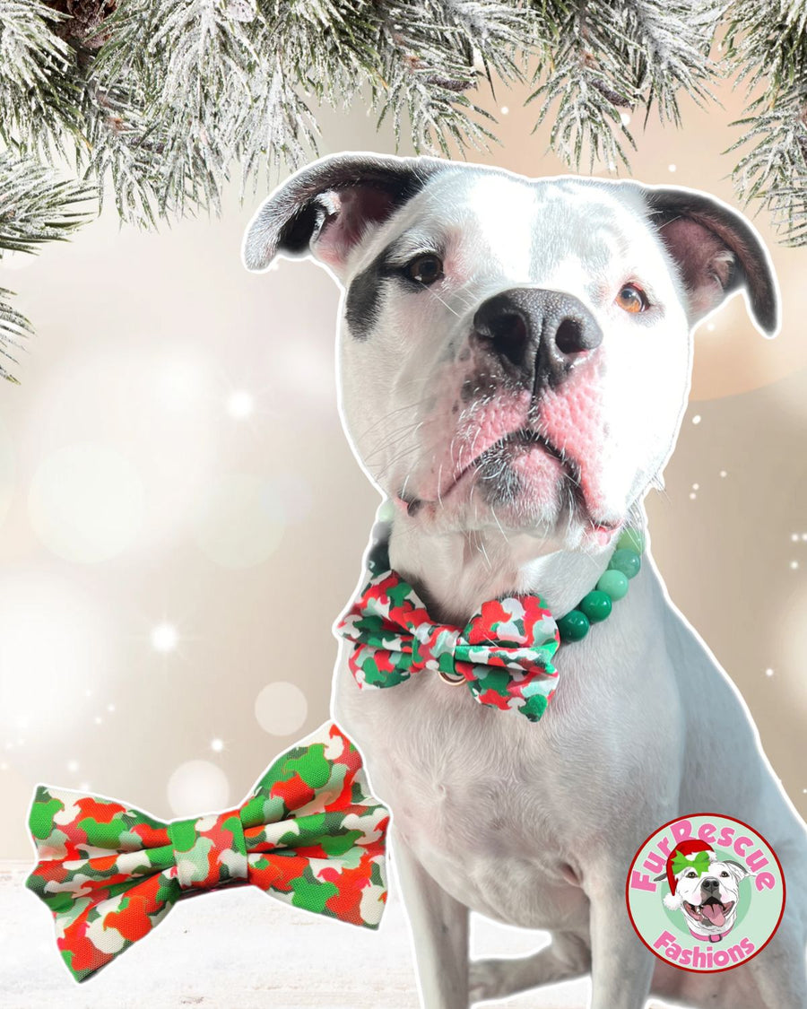 Pittie Christmas Camo Recycled Bow Tie / Head Bows
