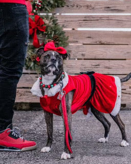 Mrs. Claus Dress with Velcro Closure