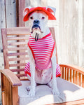 Vintage Inspired Dog 4 legged Pajamas perfect for summer Red Stripes Sleeveles in the front short back legs lycra swimming suit