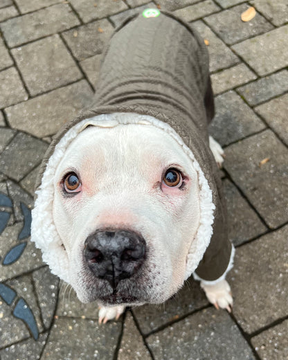 Snood Military Green Cable Knit Sweater - PAWJama