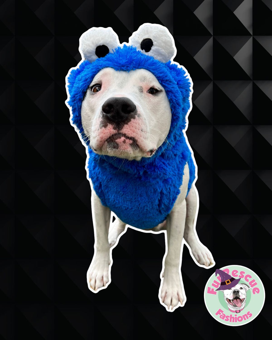Cookie Monster Hoodie