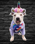 Pittie Ray Of Sunshine - PAWjama with Lilac Neck & Trim/Sleeves
