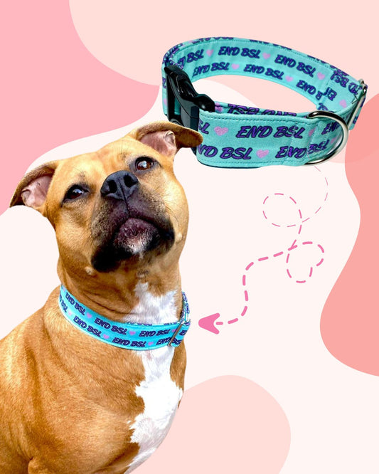 End BSL Teal & Pink Fabric Collar 1.5”