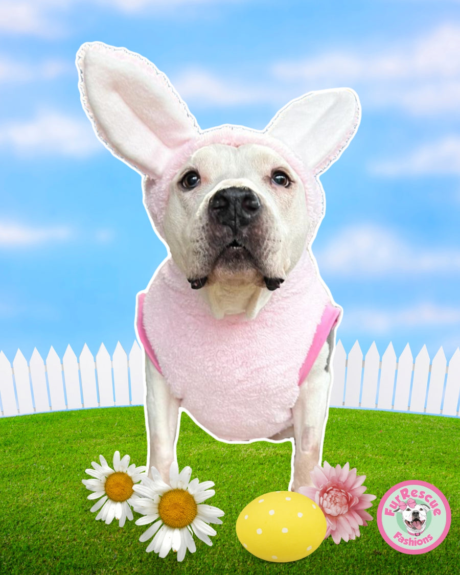 Pink Easter Bunny Hoodie