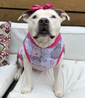 PAWjama - Happy Hippo's- Classic Fabric Paw-Shirt (Pink Hoodie/V-Neck & Trim)