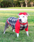 PAWberry plaid - PAWjama with Red Neck & Trim/Sleeves