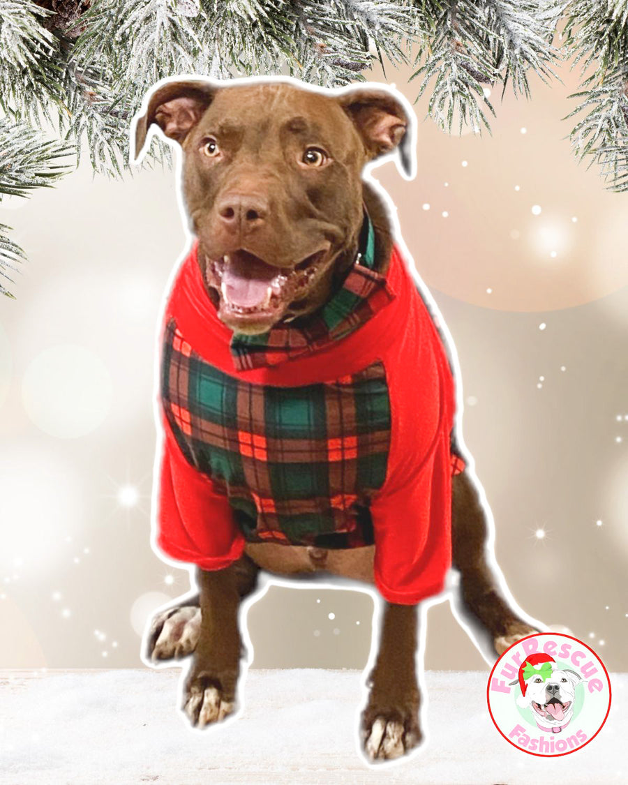 Christmas Plaid - PAWjama with Red Neck & Trim/Sleeves