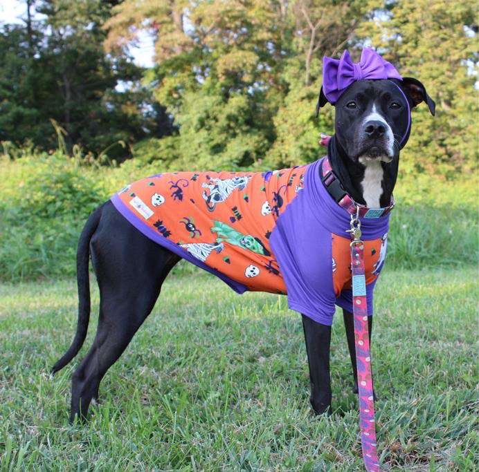 Halloween Pittie Pawty with Purple/Fuchsia Trim & Sleeves
