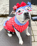 Red 'Murica - PAWJama with Blue & White Stripes Neck & Trim/Sleeves
