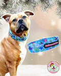Dyno-Snow-Rus Recycled Canvas Collar 1.5”