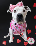 Pittie in Pink - PAWjama with Raspberry Neck & Trim/Sleeves