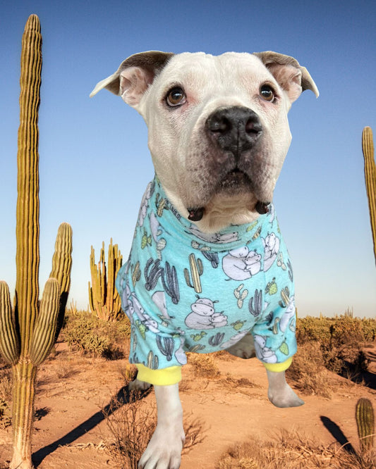 Mint Hippo Mommy & Baby Love - PAWJama with Light Yellow Neck & Trim/Sleeves