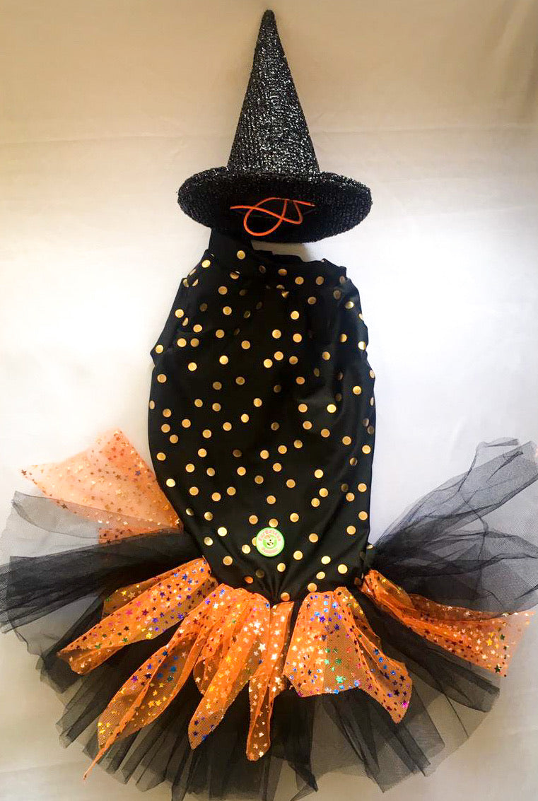Magical Witch Costume