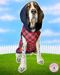 Aren’t you plaid we came? - PAWjama with Navy Neck & Trim/Sleeves