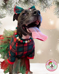 Christmas Plaid - PAWjama with Red Neck & Trim/Sleeves