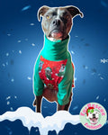 Merry Pitmas Red - PAWjama with Green Neck & Trim/Sleeves