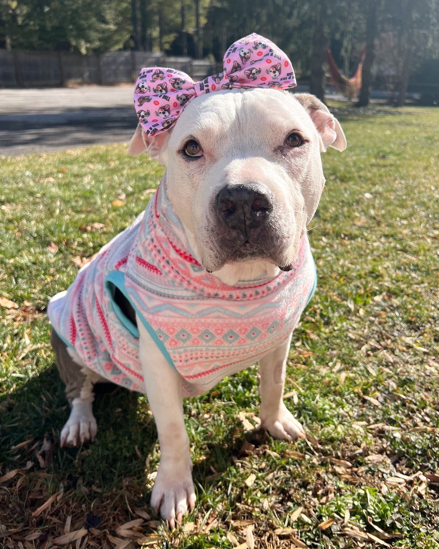 Winter Fair Isle - PAWJama