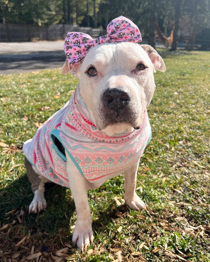 Winter Fair Isle - PAWJama