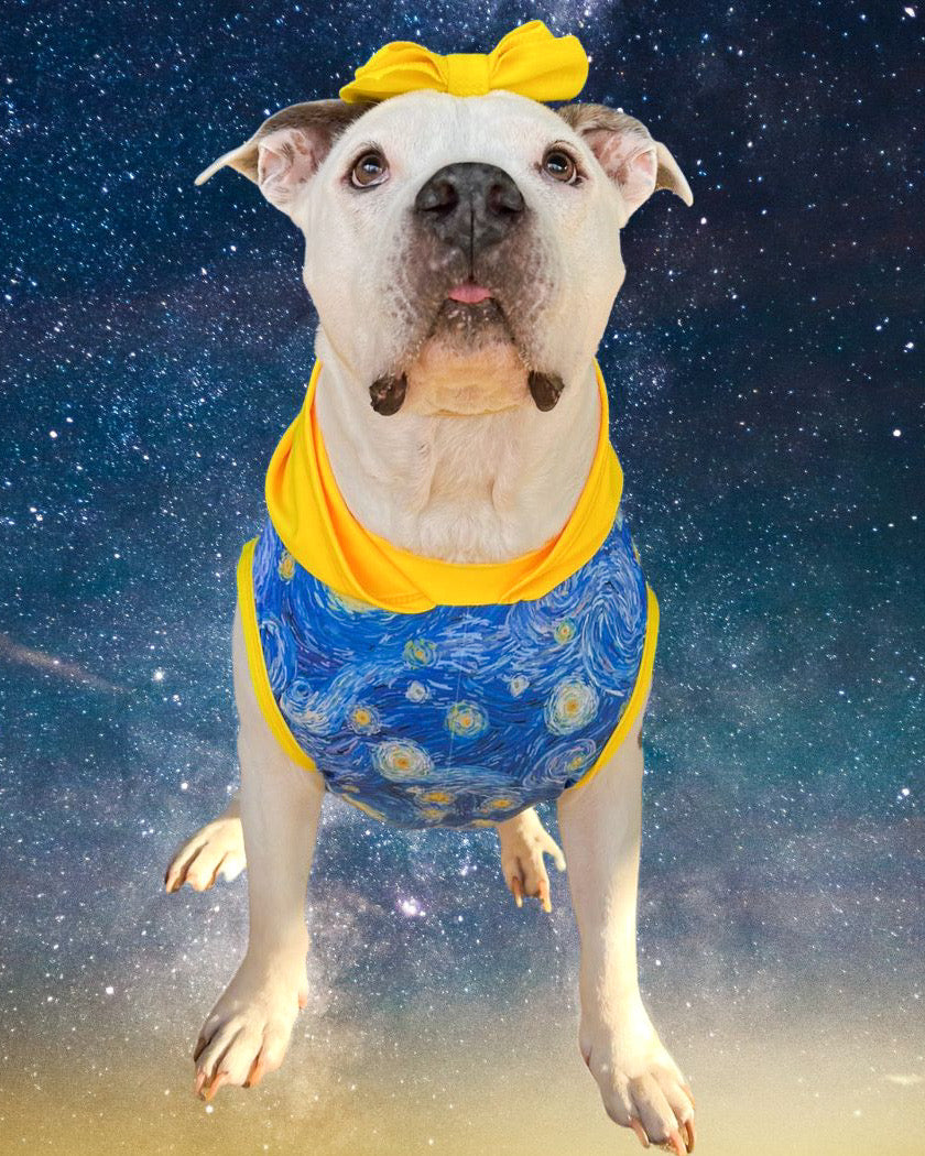 Starry Night - PAWJama with Yellow Trim/Sleeves