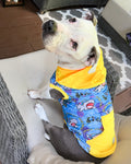 Jaws Ready for This - PAWjama with Yellow/ Purple Hoodie & Back Pocket & Trim/