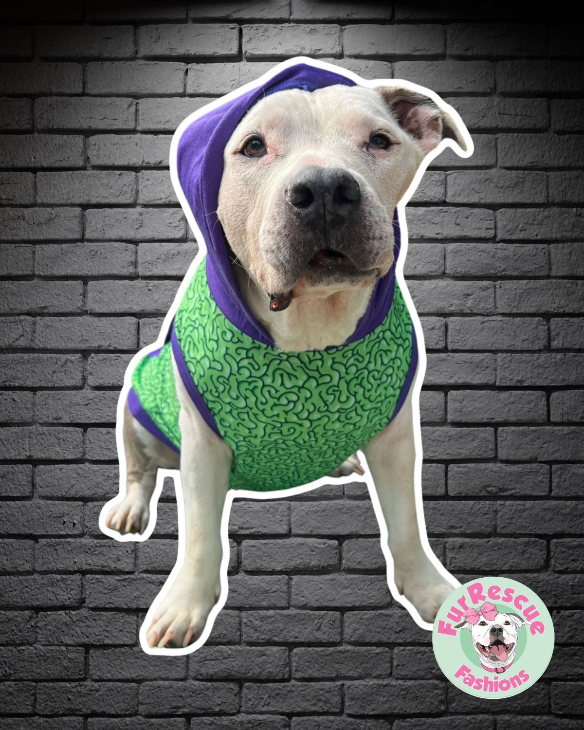 Brain Gallore - PAWjama with Purple Neck & Trim/Sleeves