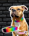 Neon Rainbow Plaid Recycled Canvas Collar 1.5”