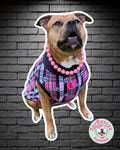 Skully in Pink - PAWjama with Black Neck & Trim/Sleeves