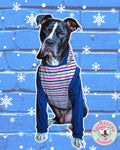 Glittery Stripes Hoodie - PAWjama with option of Navy Blue or Raspberry Combination