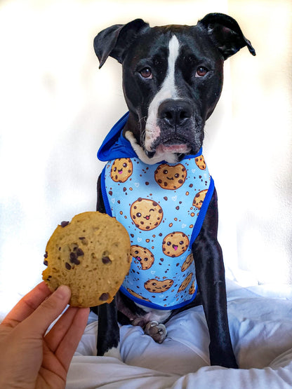 Chocolate Chip With Blue Background - PAWjama with Royal Neck & Trim/Sleeves