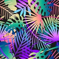 Neon Palms - PAWJama with Purple Trim/Sleeves