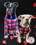 Plaid Is For Lovers - PAWjama with Navy Neck & Trim/Sleeves