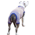Dog 4 legged pajamas vintage swimmingsuit inspired perfect for summer sleeveless in the front short back legs Blue Stripes