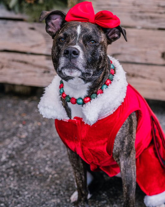 Mrs. Claus Dress with Velcro Closure