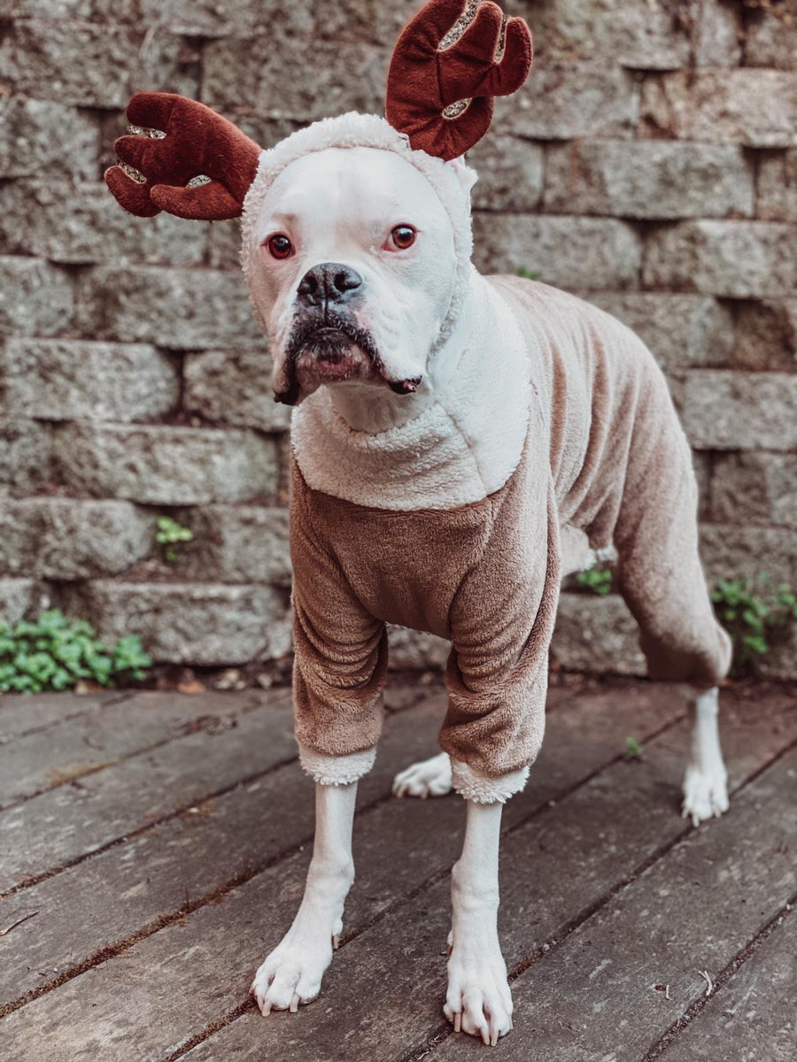 Reindeer Dog Pawjama Costume