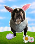 Gray Easter Bunny Hoodie