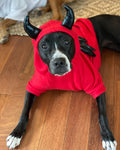 Sweet Little Devil With Embroidery Hoodie