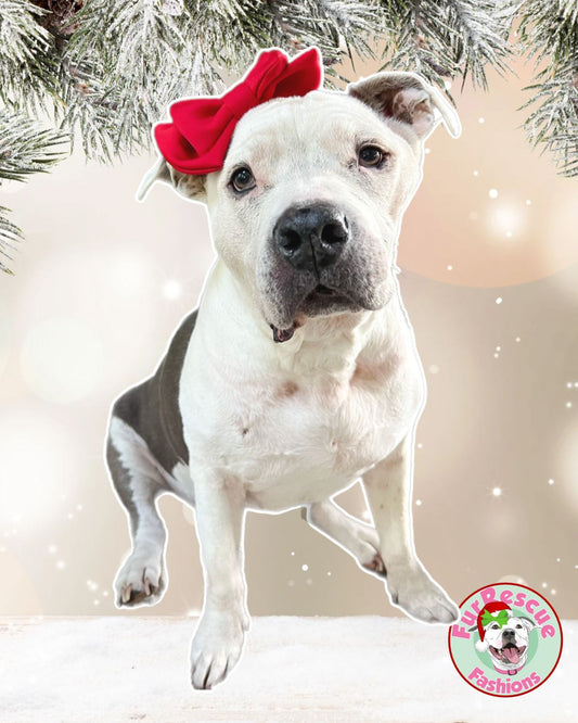 Christmas Doggie Bow Headband