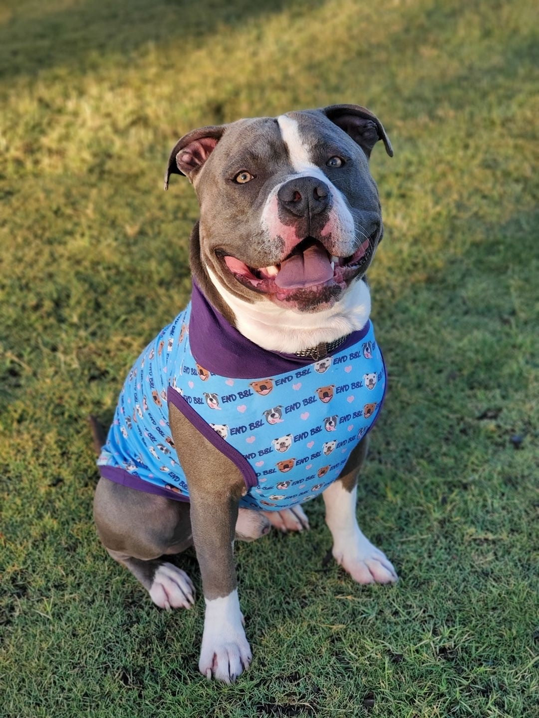 End BSL - PAWjama with Purple Neck & Trim/Sleeves