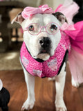 Piggie with Glasses Tutu Dress with Velcro Closure (Classic Fabric)
