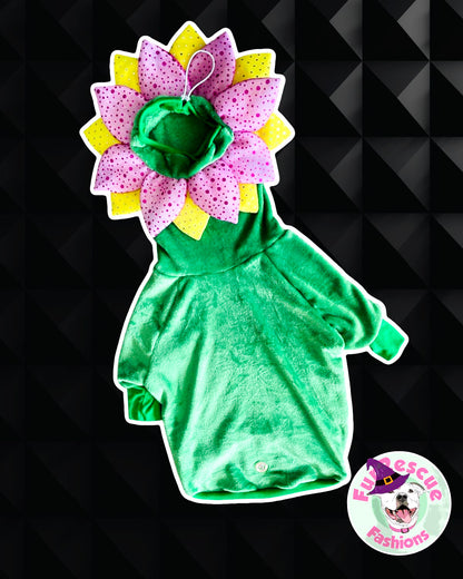 Sweet Flower Dog Costume