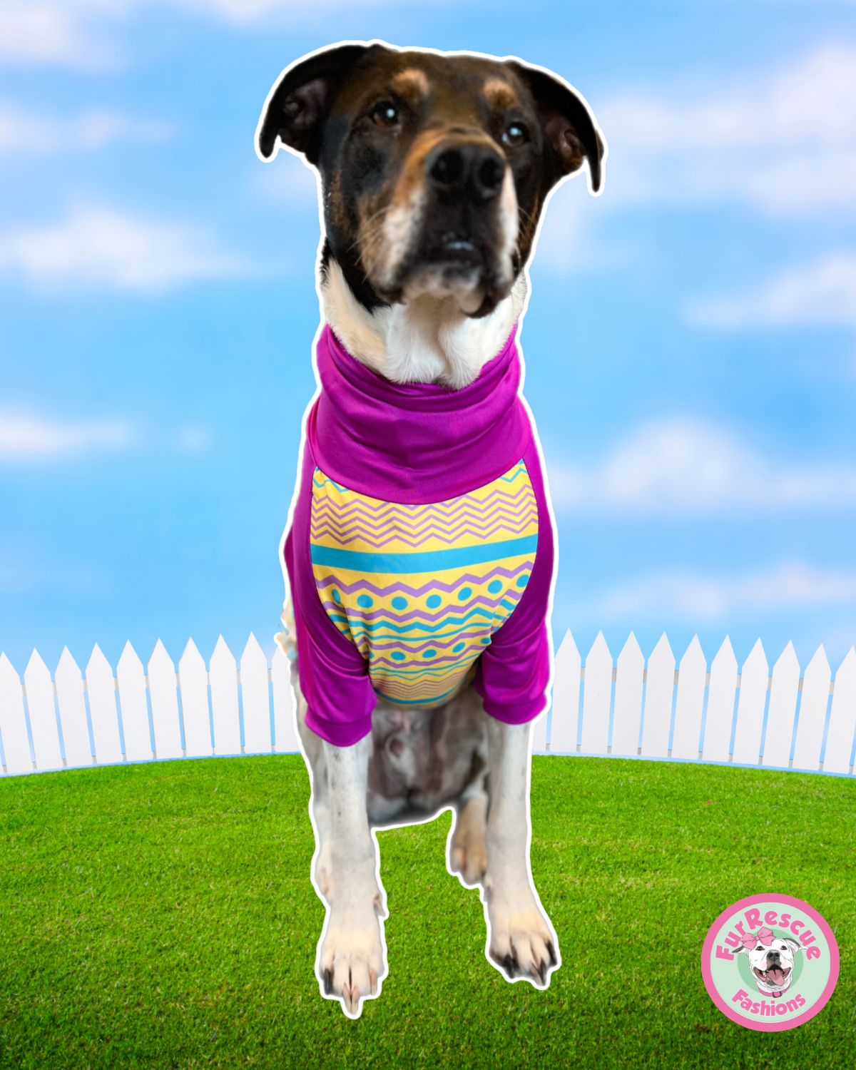 Fashion Eggspert - PAWjama with Fuchsia or Aqua Neck & Trim/Sleeves