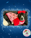 Merry Pitmas Pink - PAWjama with Red Neck & Trim/Sleeves
