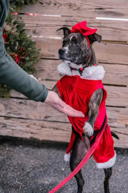 Mrs. Claus Dress with Velcro Closure