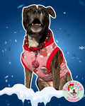 Merry Pitmas Pink - PAWjama with Red Neck & Trim/Sleeves